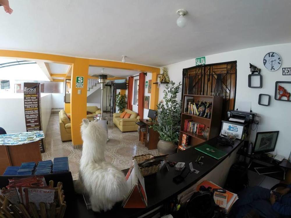 Albergue Cuscopackers *