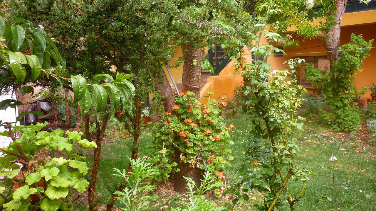 La Casa Feliz Bed & Breakfast *