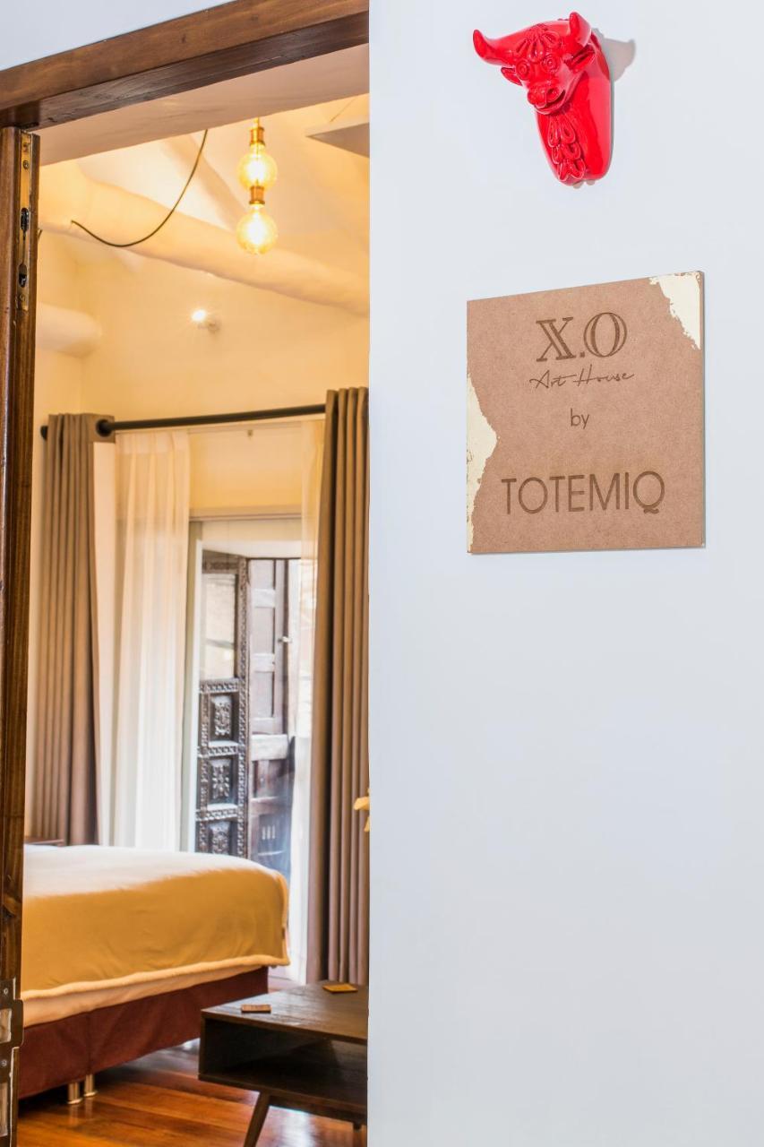 Hotel X.o Art House 3*