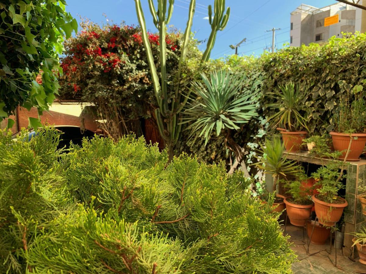 The King Sun Garden Hotel Cuzco