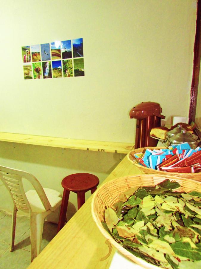 The Grasshopper Av Alta Hostel
