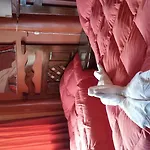 Hostal Will House