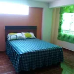 Llama Hostel