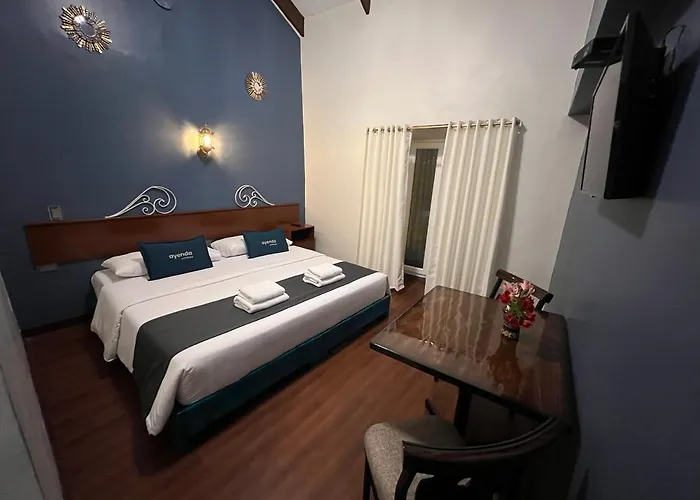 Hotel Andina