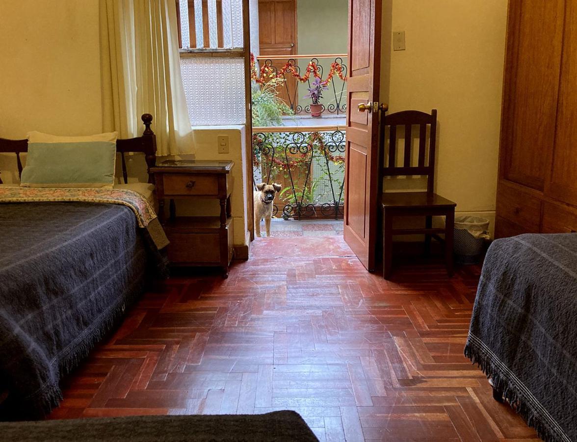Hostel Eco View - *