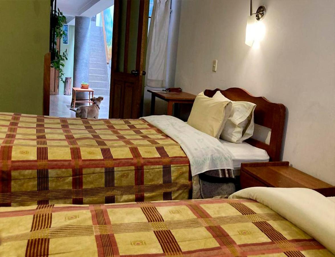 Eco View - Hostel