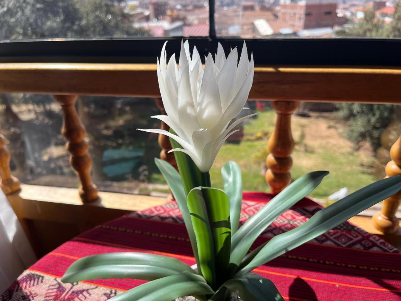 Casa Antade Cusco