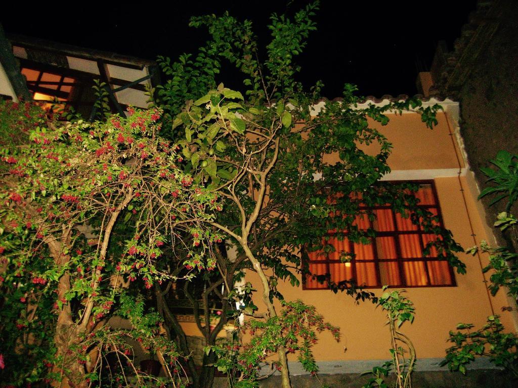 Guest house Kuska 3*