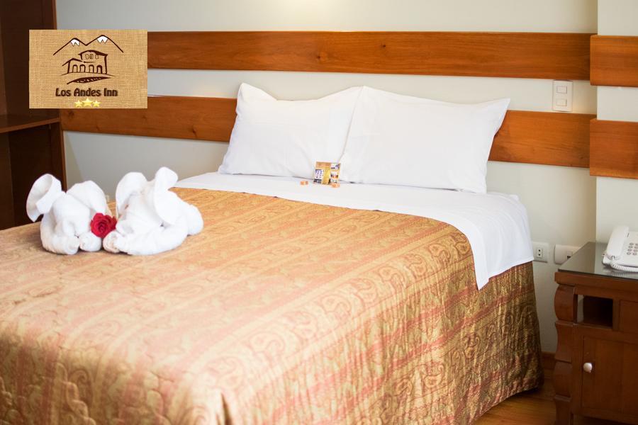 Andes Hotel 3*