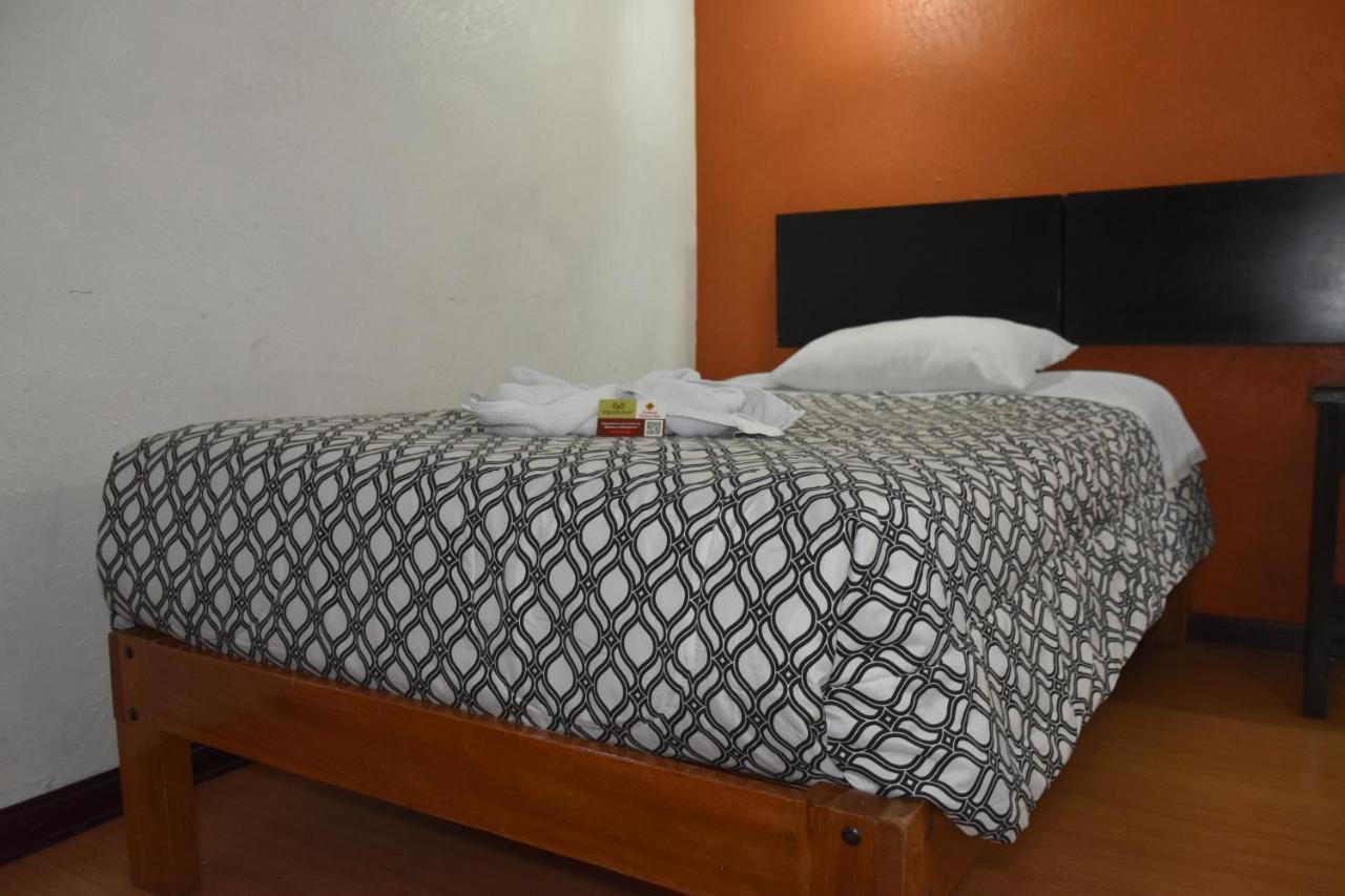 Cedros Cusco