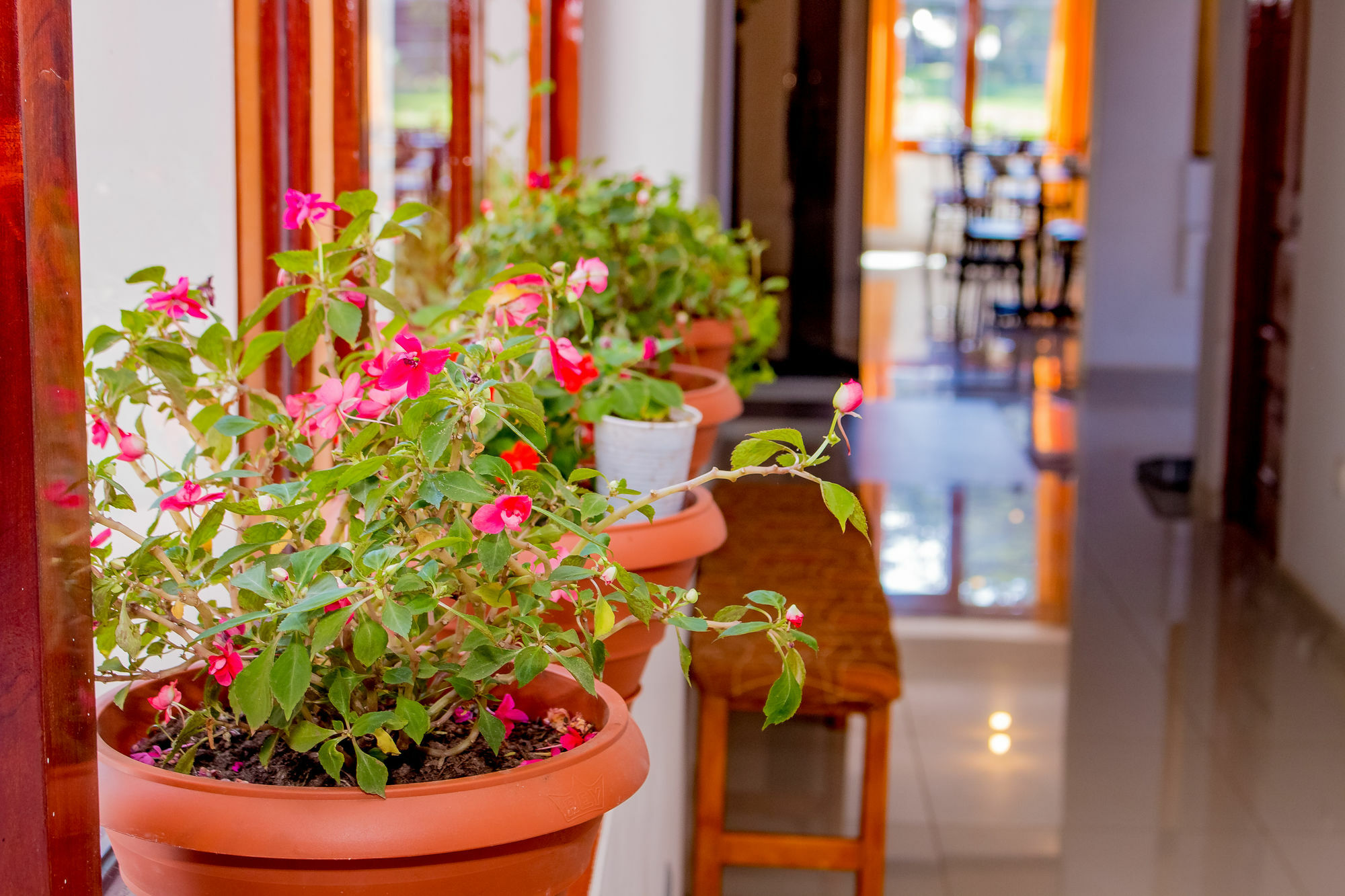House Hotel 2*